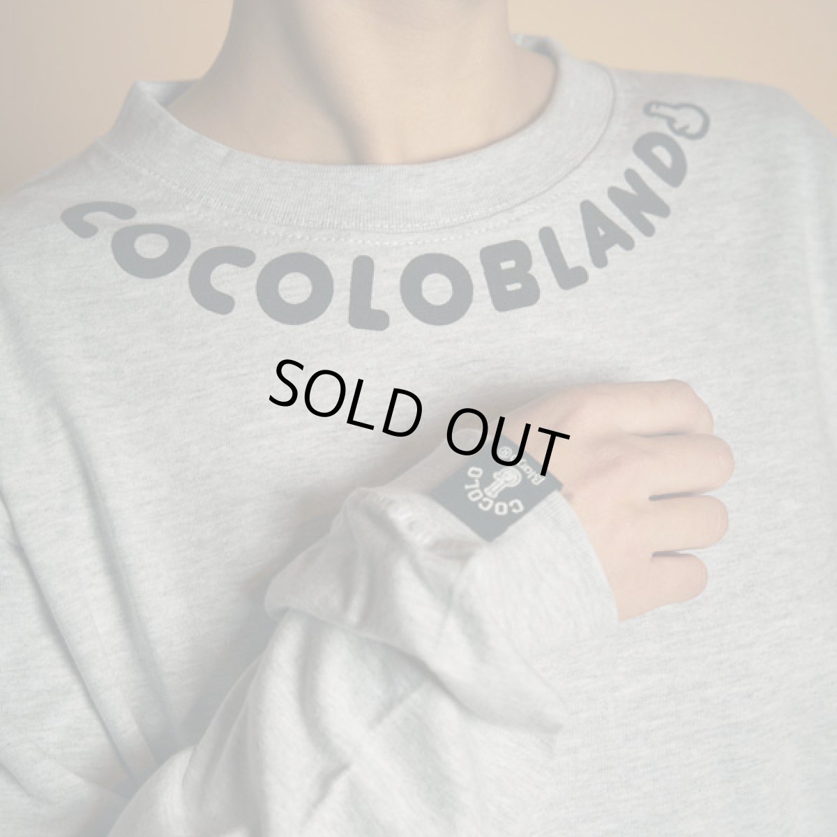 画像6: 【SALE】NECK LOGO L/S(ASH) (6)