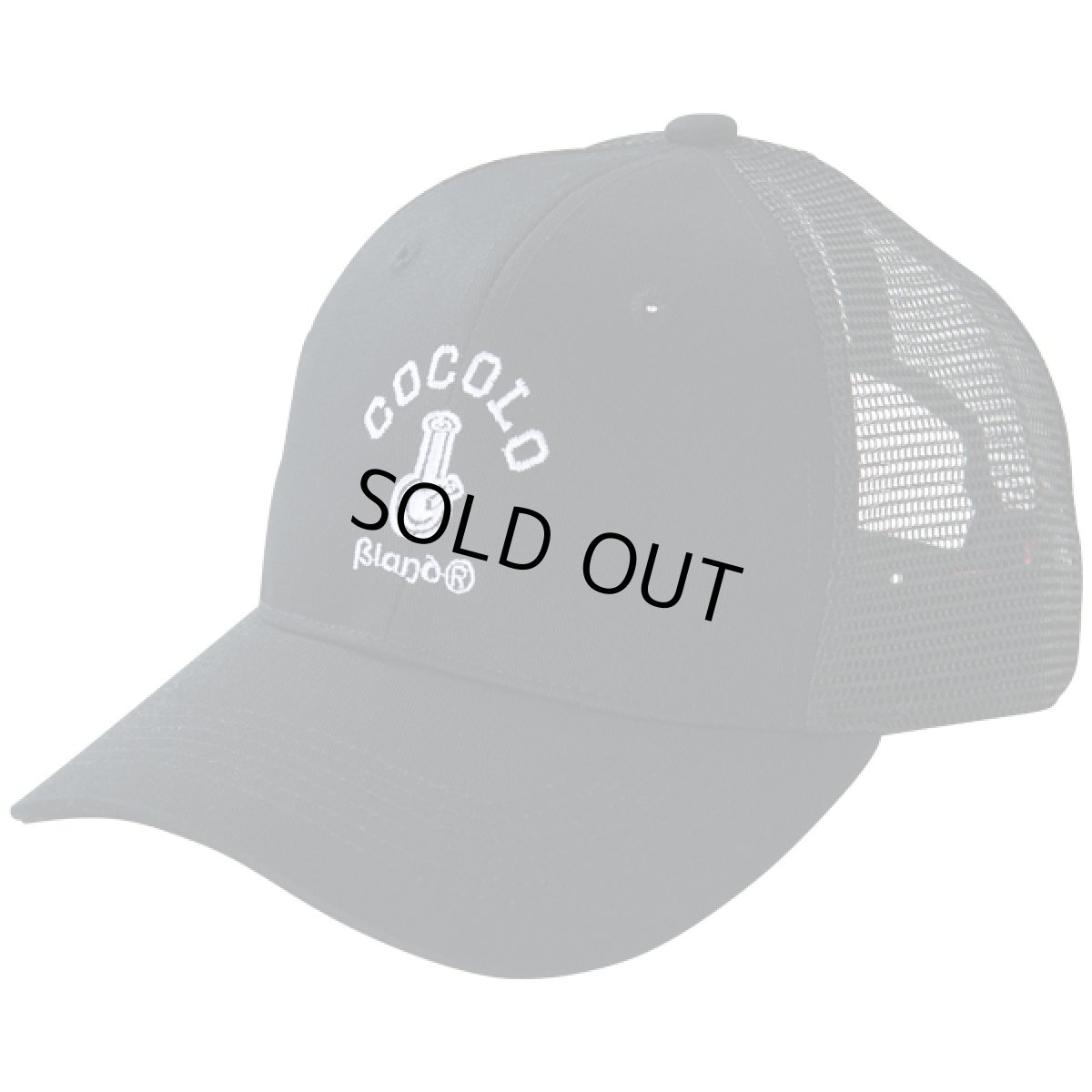 画像1: TRUCKER MESH CAP(BLACK) (1)