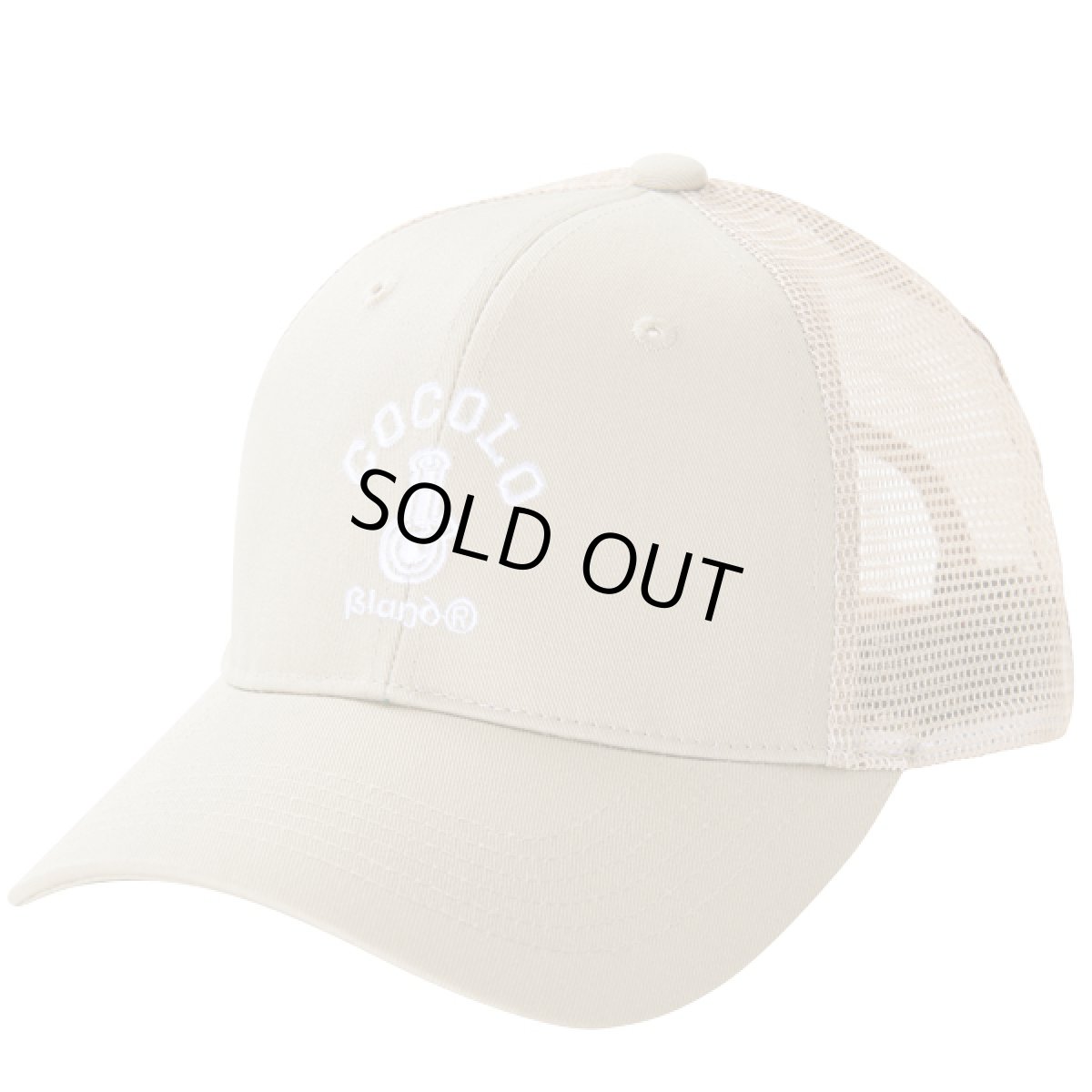 画像1: TRUCKER MESH CAP(BEGIE) (1)
