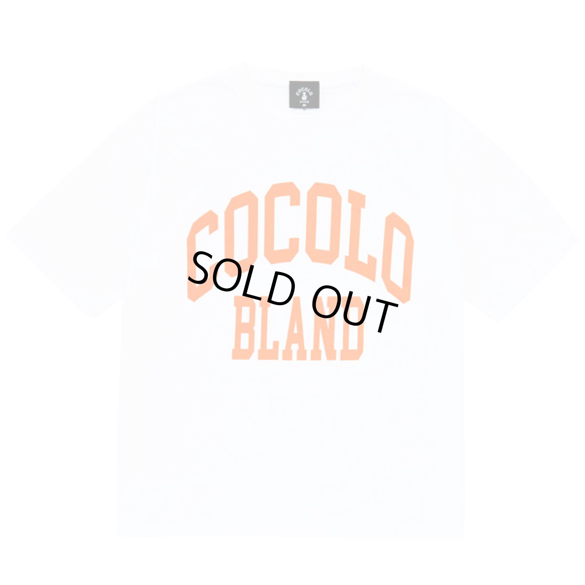 画像1: COLLEGE WIDE S/S(WHITE) (1)