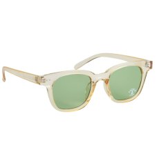 画像1: TOY SUNGLASS 2025(CHAMPAGNE/GREEN)) (1)