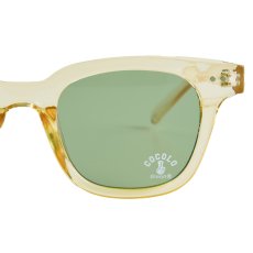 画像2: TOY SUNGLASS 2025(CHAMPAGNE/GREEN)) (2)