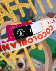 画像6: COCOLO GI NAME BELT(WHITE) (6)