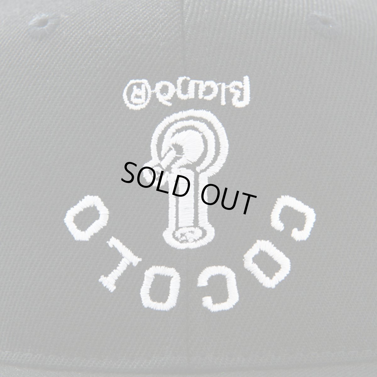 画像3: UPSIDE DOWN SNAPBACK CAP (3)