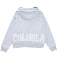 画像3: NAME LOGO BOX ZIP HOODIE(ASH) (3)