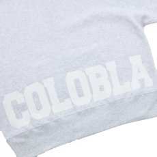 画像4: NAME LOGO BOX ZIP HOODIE(ASH) (4)