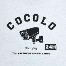 画像2: CCTV HALFZIP SWEAT(ASH) (2)