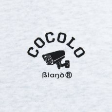 画像4: CCTV HALFZIP SWEAT(ASH) (4)