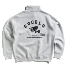 画像1: CCTV HALFZIP SWEAT(ASH) (1)